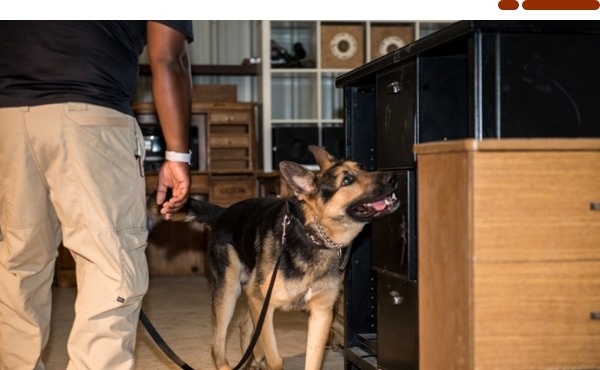 Explosive And Narcotic Detection